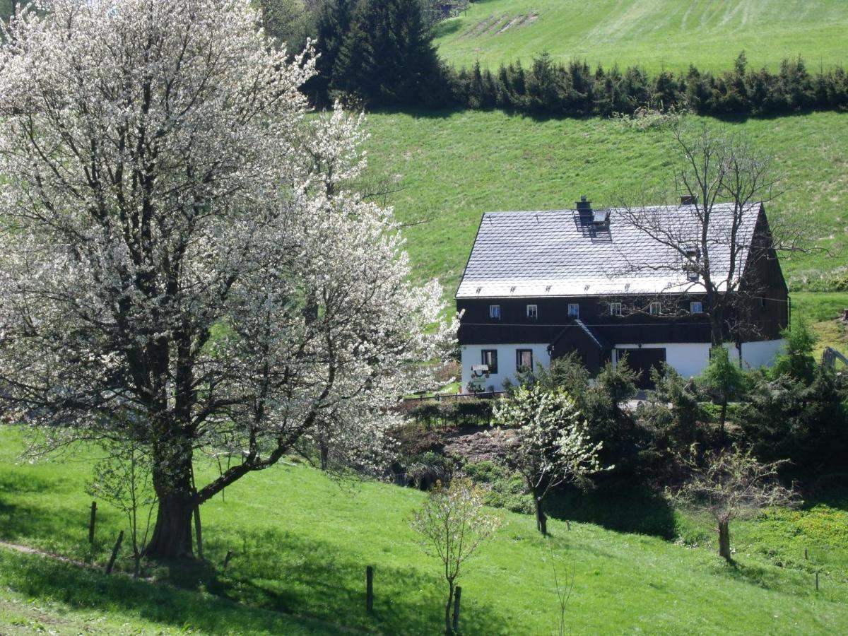 Haus Talruhe Apartamento Altenberg  Exterior foto